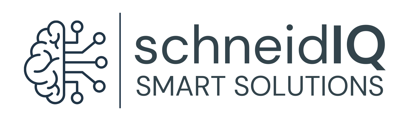 schneidIQ